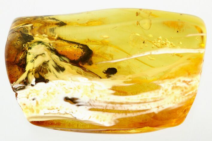 Large, Gooped-Up Fossil Fly (Brachycera) In Baltic Amber #278720